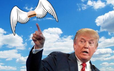 Trump And A Flying Fig Newton