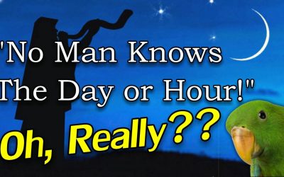 No Man Knoweth The Day Or The Hour?