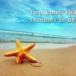Summer Is Near! He Who Gathers In The Summer Is A Wise Son!