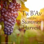 Tu B’Av And The Summer Harvest