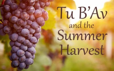 Tu B’Av And The Summer Harvest
