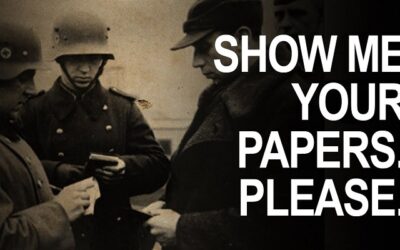 “Papers Please”…Beast System Rising