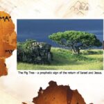 They Will Flee Again. The Recent Dead Sea Scroll Find Is a Message To The Jews O...