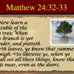 Fig Tree Generation And The Rapture