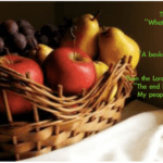 Signs, Signs, Everywhere Signs....Basket of Fruit Found...Summer Fruit?