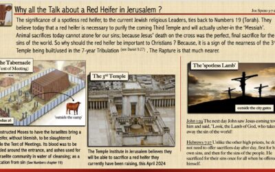 Red Heifers and Preparation For Third Temple