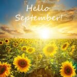 Is THIS the Actual September to Remember???
